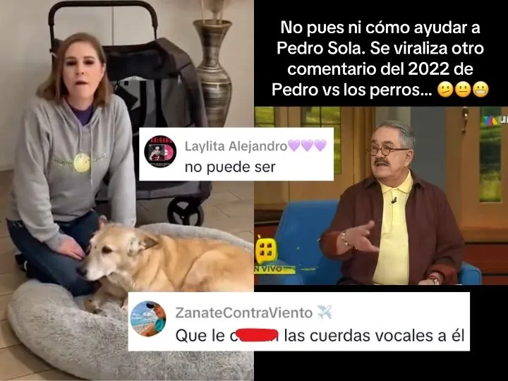 2 4 - no creemos sus disculpas: estas son las veces que pedro sola ha dicho o hecho cosas horribles contra perritos
