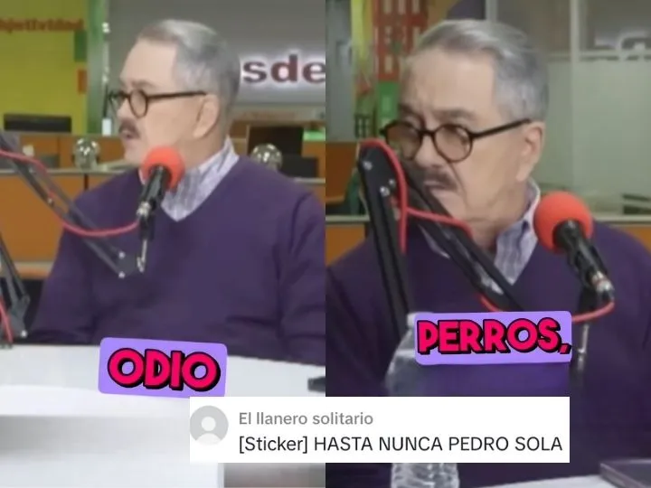 1 4 - no creemos sus disculpas: estas son las veces que pedro sola ha dicho o hecho cosas horribles contra perritos